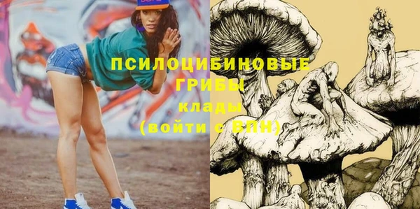 СК Зеленодольск