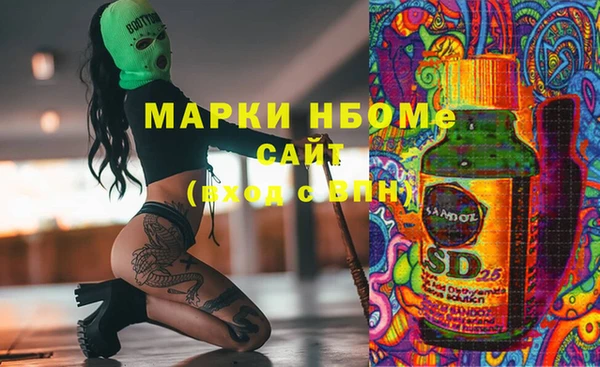 СК Зеленодольск